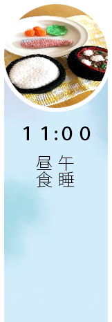 11:00 昼食、午睡